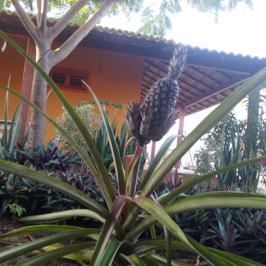 Vila Flamboyant